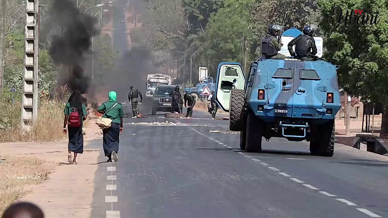 8 jeunes de Pastef arrêtés à Bignona et transférés à Ziguinchor
