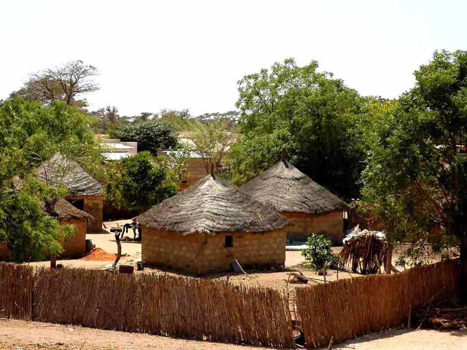 Village de Gueun Sarr : Un cultivateur viole une mineure !