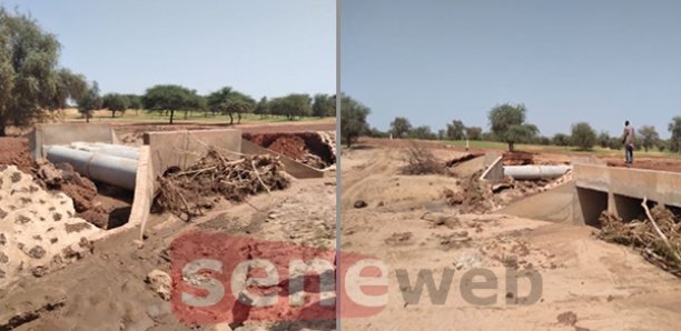 Linguère: Le pont de Dodji bientôt réhabilité pour soulager les populations impactées (DG FERA)