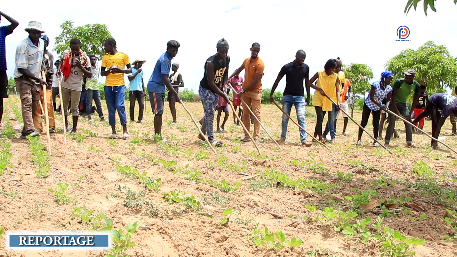 Thiènaba – Sen vacance agricole, vision 3T impulse le développement local