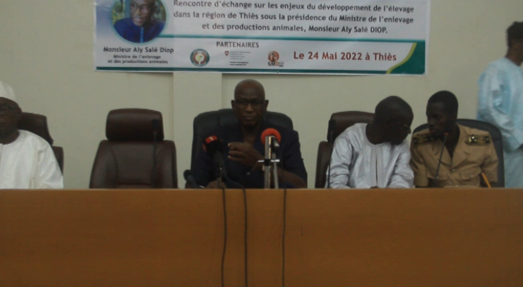 Thiès – Rencontre d’échange sur les enjeux du développement de l’élevage