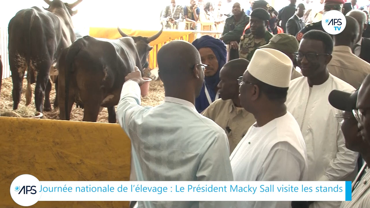 Tambacounda – Le President Macky Sall veut que l’élevage contribue plus à la souveraineté alimentaire