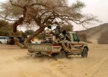 Niger : 43 combattants des groupes armés « neutralisés » en une semaine, selon l’armée