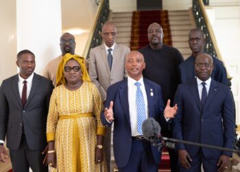 Le President Diomaye a reçu en audience le Président de la CAF, Patrice Motsepe