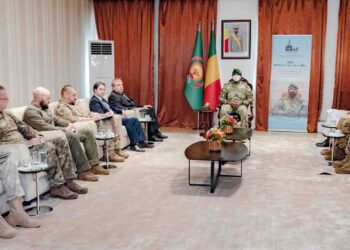 MALI-RUSSIE : Le Président de la Transition a reçu l’Ambassadeur russe
