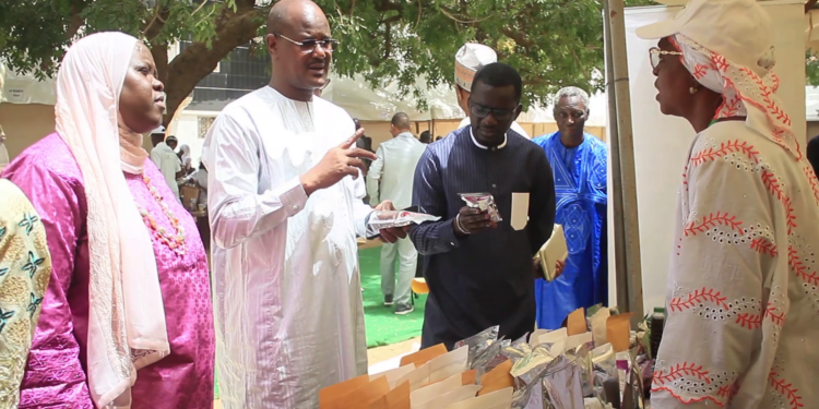 Thiès – La FENAB lance le projet Bio Sénégal 2