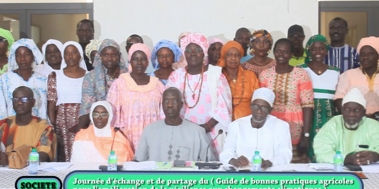 Thiès – Journée d’échange et de partage sur les pratiques agricoles et aux changements climatiques