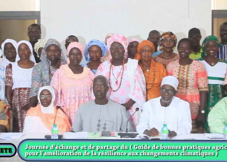 Thiès – Journée d’échange et de partage sur les pratiques agricoles et aux changements climatiques