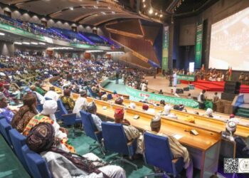 Niamey : l’Alliance des Etats du Sahel installe ses 45 députés confédéraux