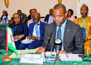 Togo – Me Ousmane Diagne a pris part à la 11ᵉ réunion annuelle des réseaux régionaux de santé animale